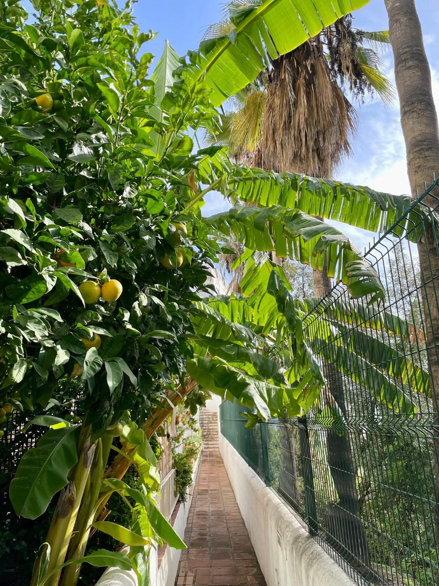 דירות פואנגירולה Sun Castle מראה חיצוני תמונה